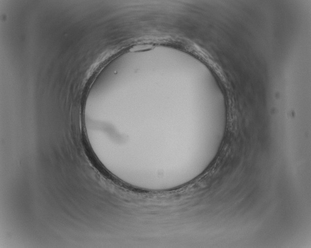 X0000072520011200608041543