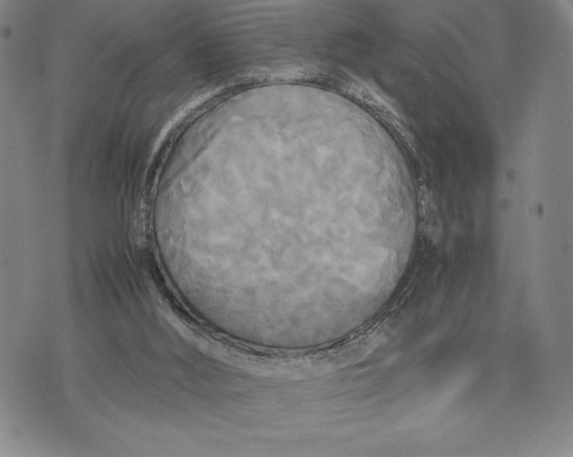 X0000072520012200608041543