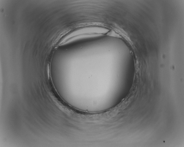 X0000072520013200608041543