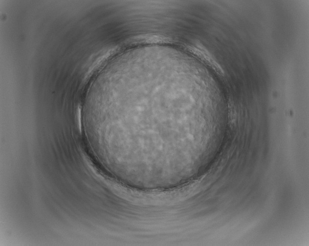 X0000072520014200608041543