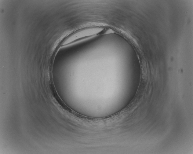 X0000072520015200608041543