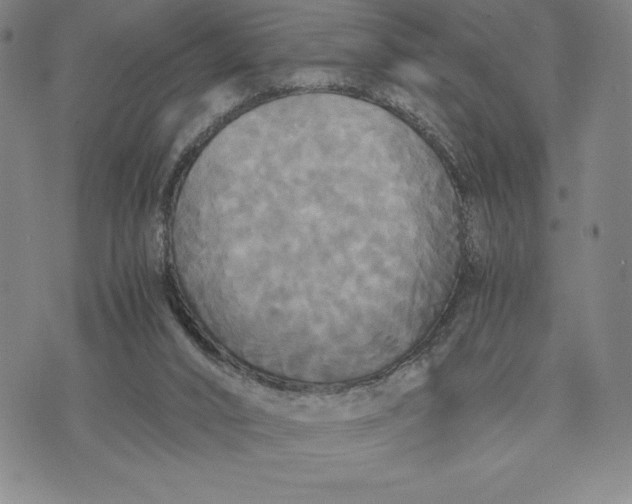 X0000072520016200608041543