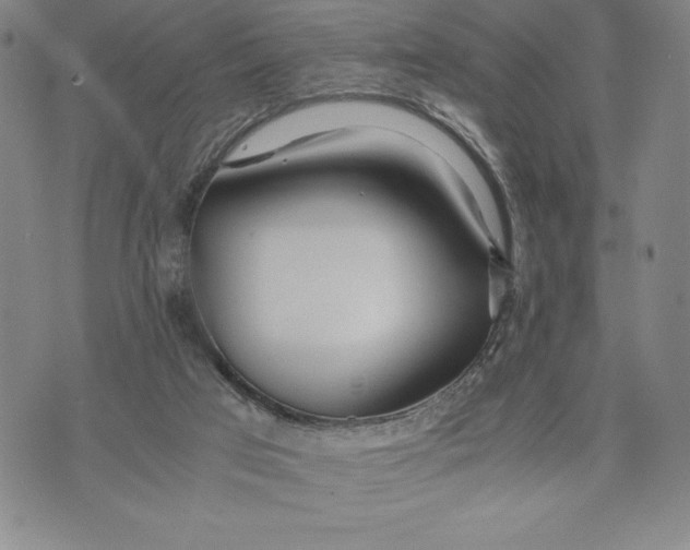 X0000072520017200608041543