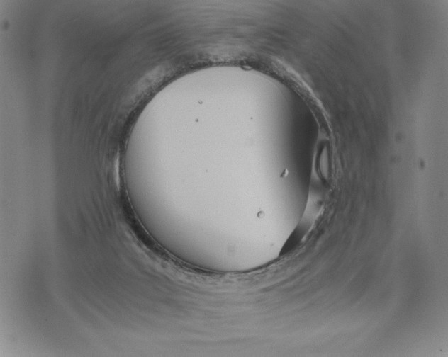 X0000072520019200608041543