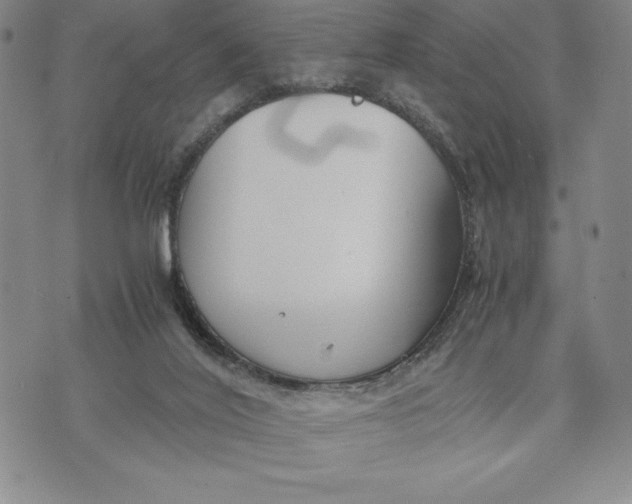 X0000072520020200608041543