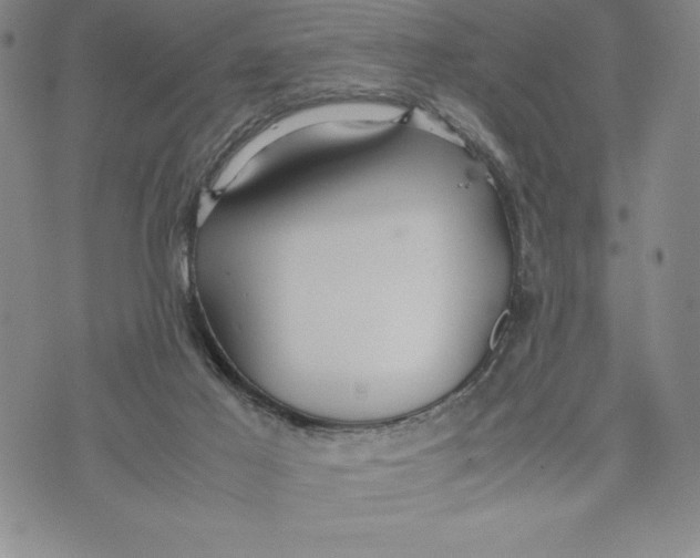 X0000072520021200608041543