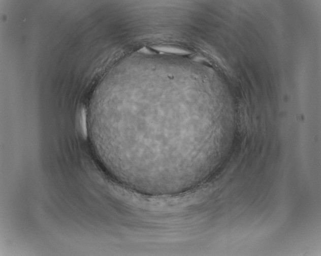 X0000072520022200608041543