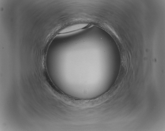 X0000072520023200608041543