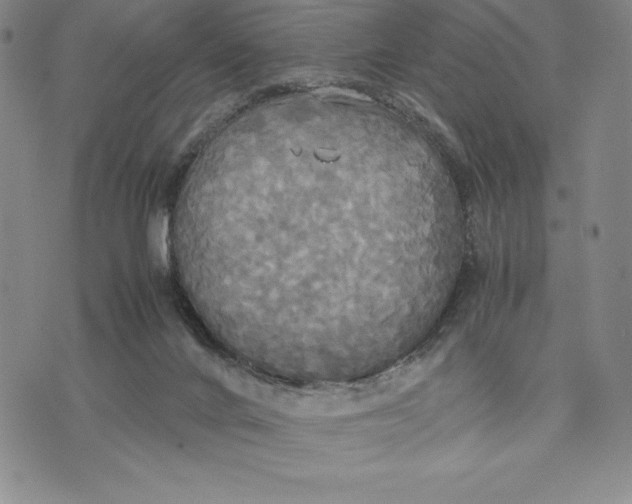 X0000072520024200608041543