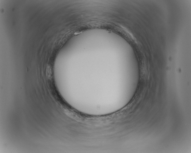 X0000072520025200608041543