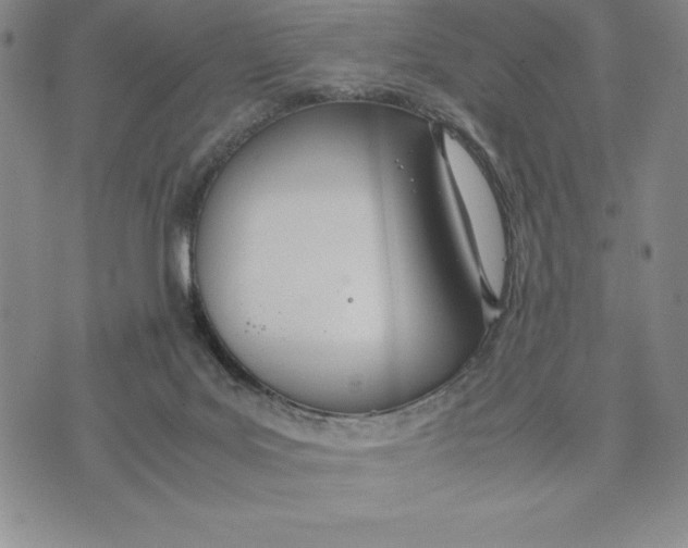 X0000072520027200608041543