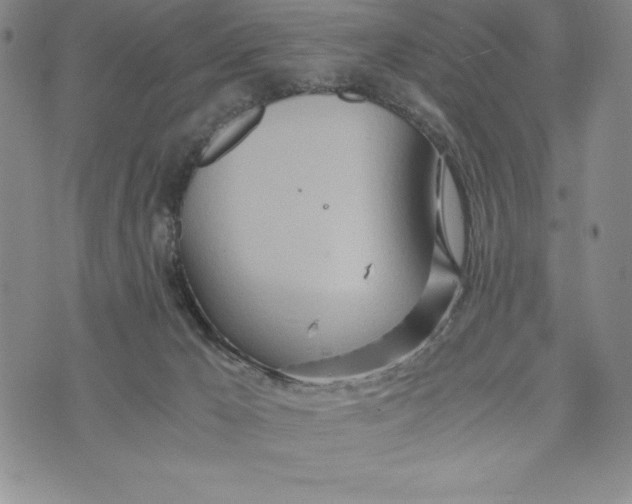 X0000072520029200608041543