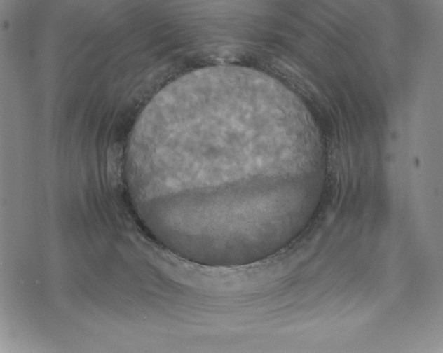 X0000072520030200608041543