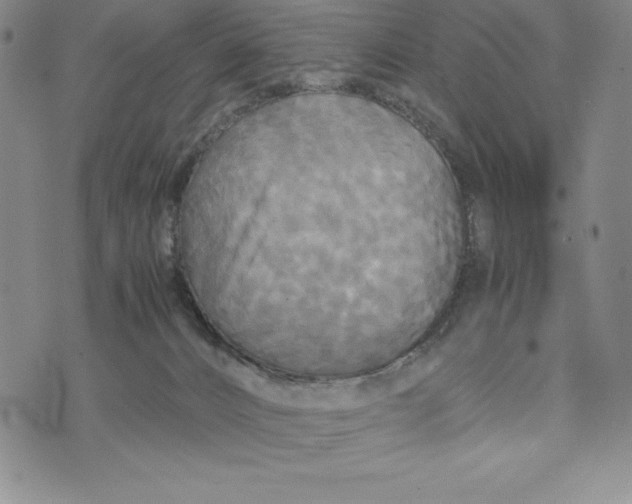 X0000072520032200608041543