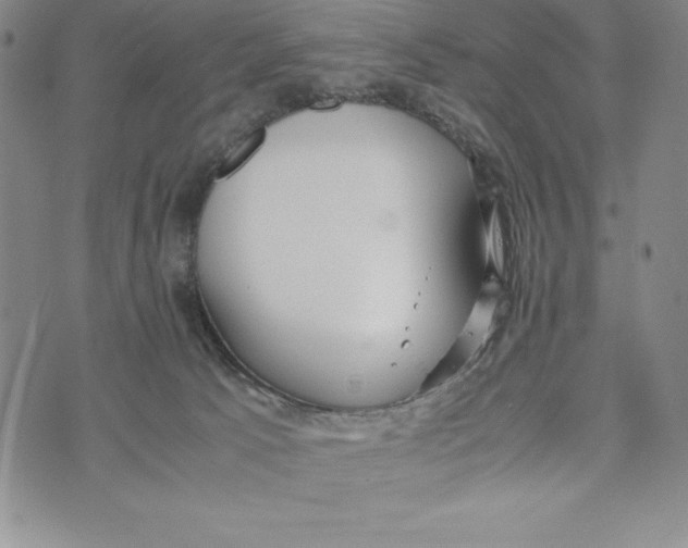 X0000072520033200608041543