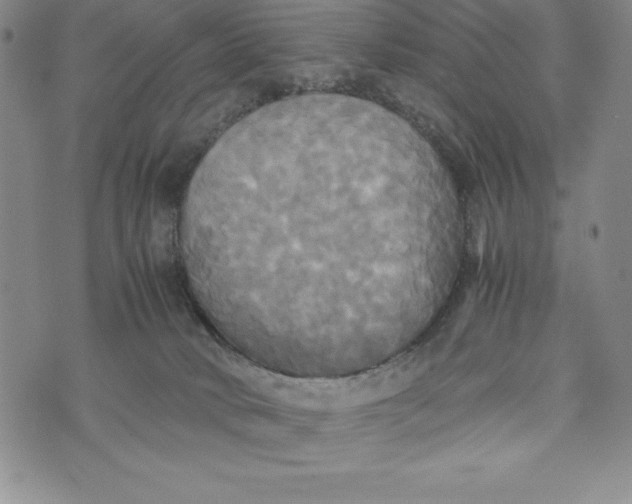 X0000072520034200608041543