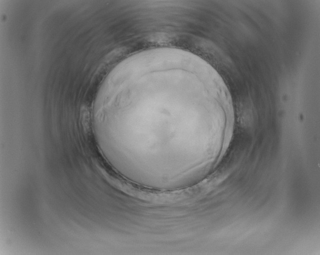 X0000072520036200608041543