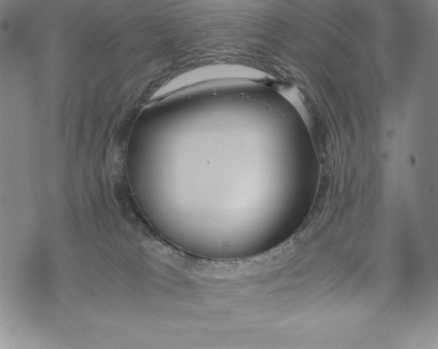 X0000072520037200608041543