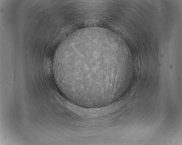 X0000072520038200608041543