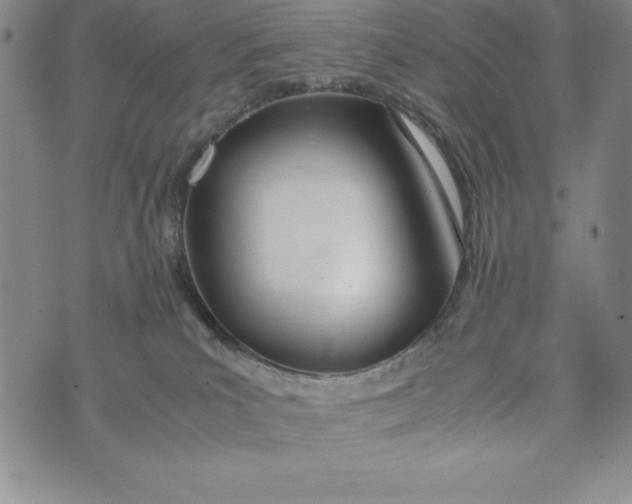 X0000072520039200608041543