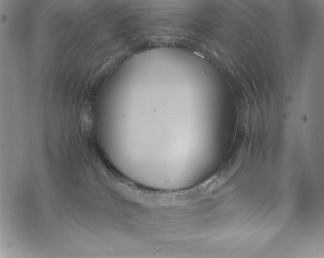 X0000072520040200608041543