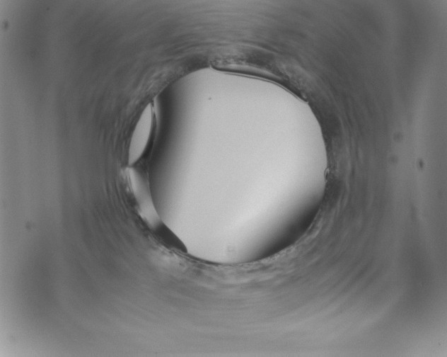 X0000072520041200608041543