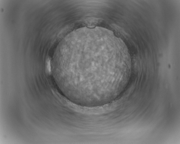 X0000072520042200608041543