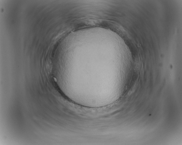 X0000072520043200608041543