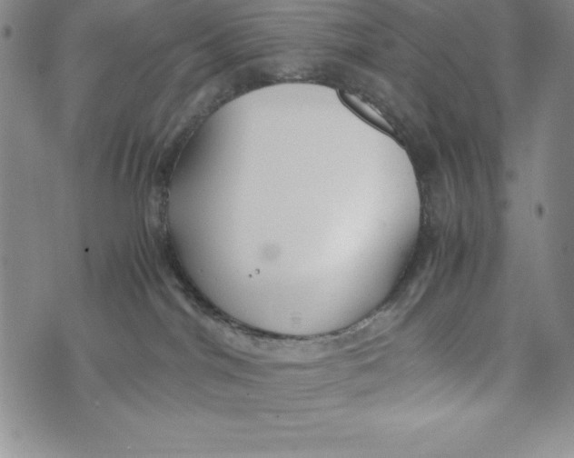 X0000072520044200608041543