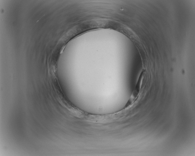 X0000072520045200608041543