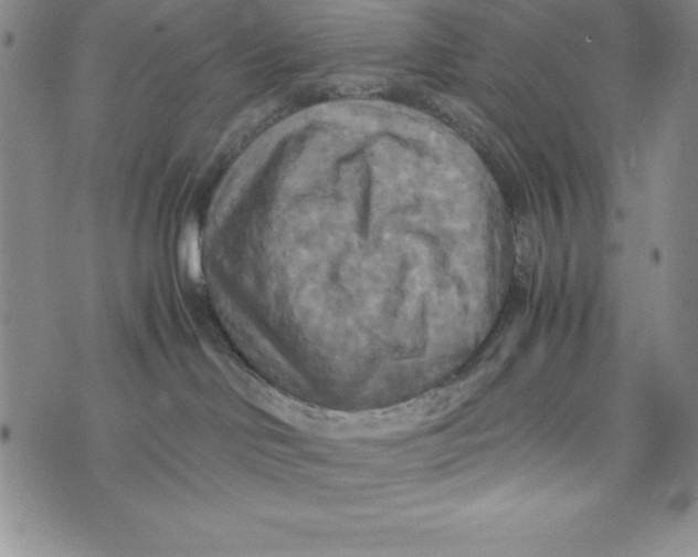 X0000072520046200608041543