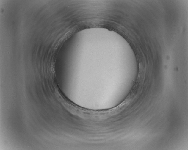 X0000072520048200608041543