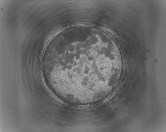 X0000072520049200608041542