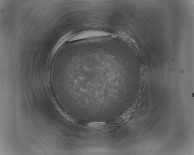 X0000072520051200608041542