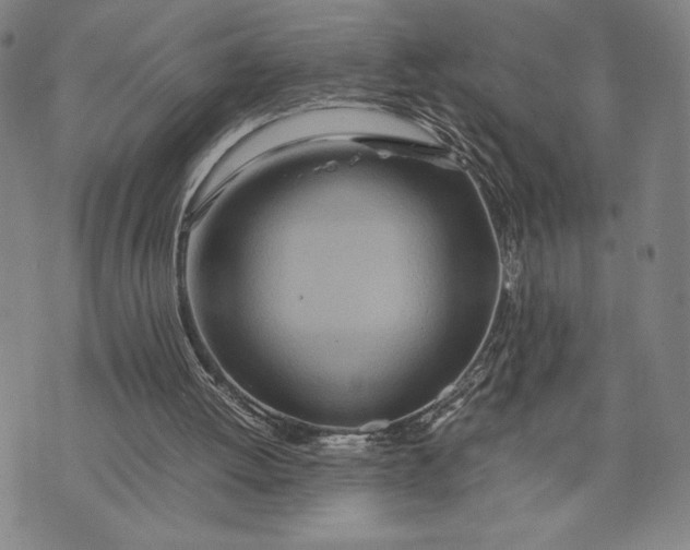 X0000072520052200608041542