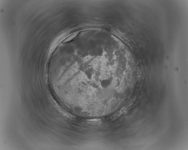 X0000072520053200608041542