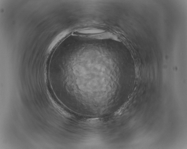 X0000072520054200608041542