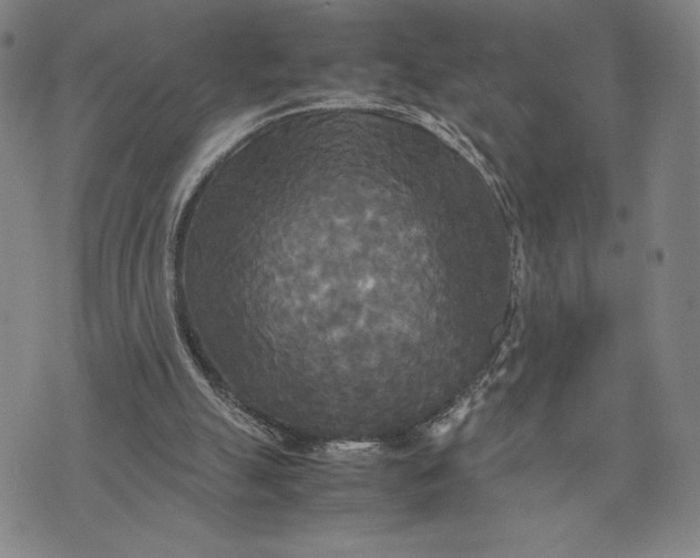 X0000072520055200608041542