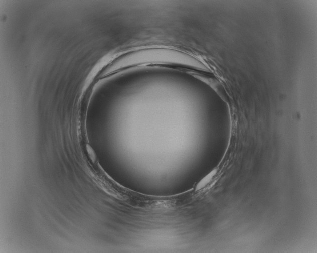 X0000072520056200608041542