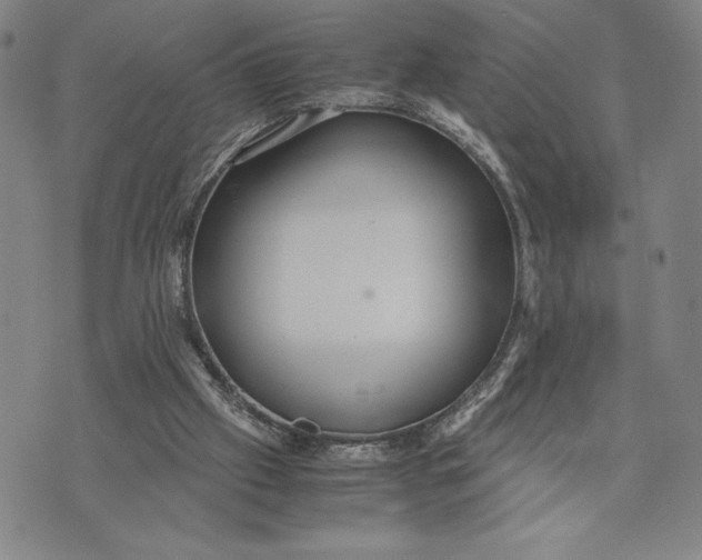 X0000072520057200608041542