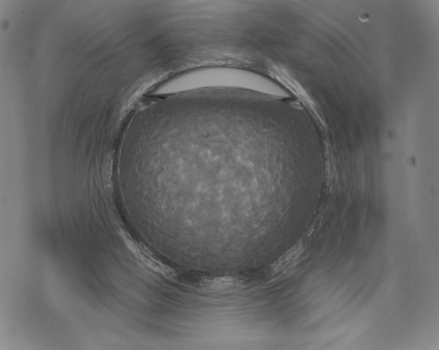 X0000072520058200608041542