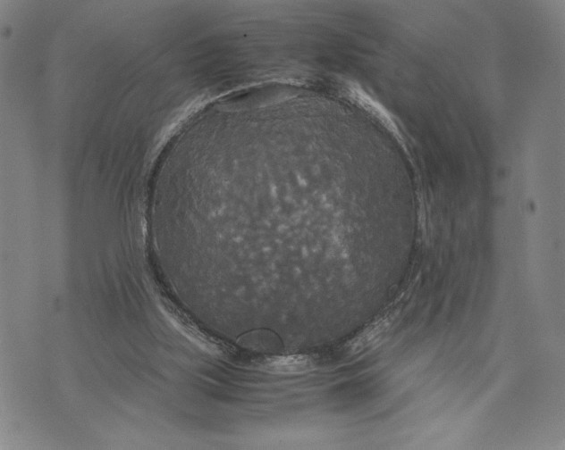 X0000072520059200608041542