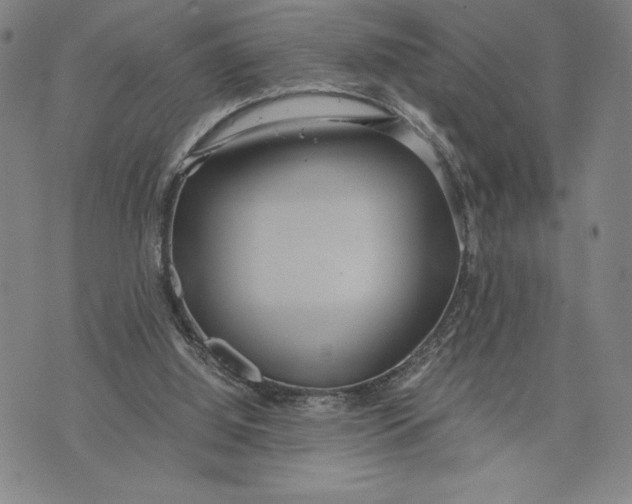 X0000072520060200608041542