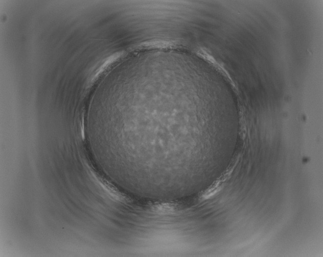 X0000072520062200608041542