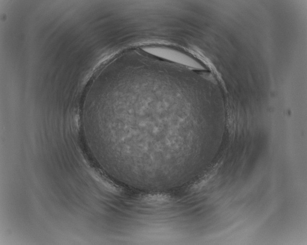 X0000072520063200608041542