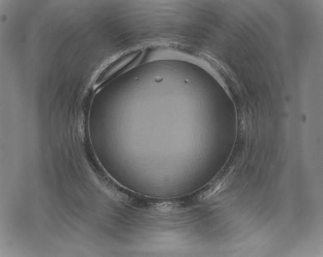 X0000072520064200608041542