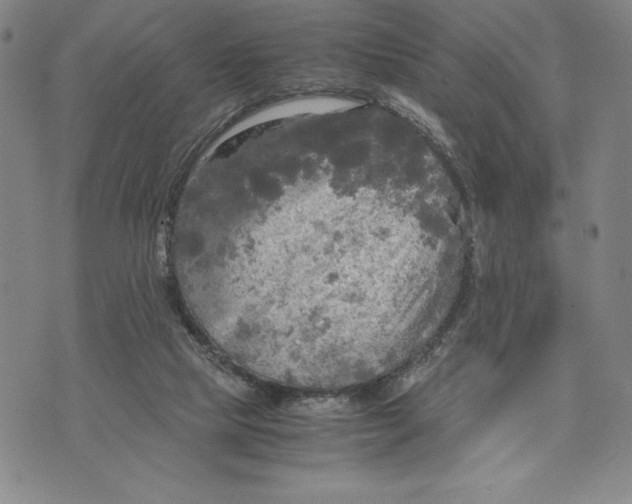 X0000072520065200608041542