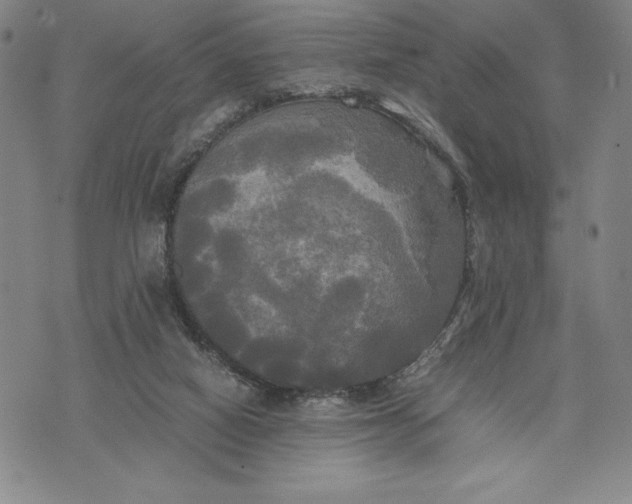 X0000072520066200608041542