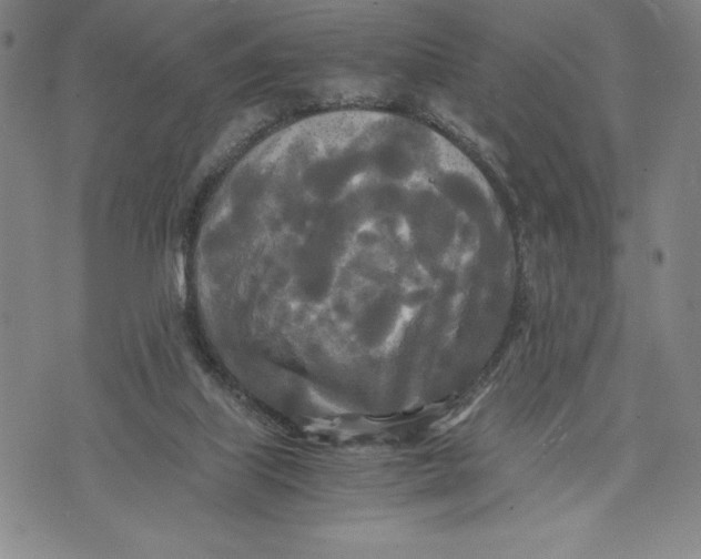 X0000072520067200608041542