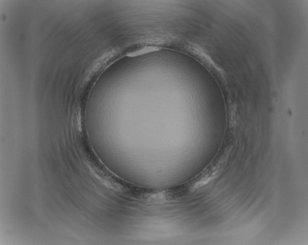 X0000072520068200608041542